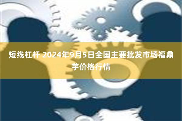 短线杠杆 2024年9月5日全国主要批发市场福鼎芋价格行情