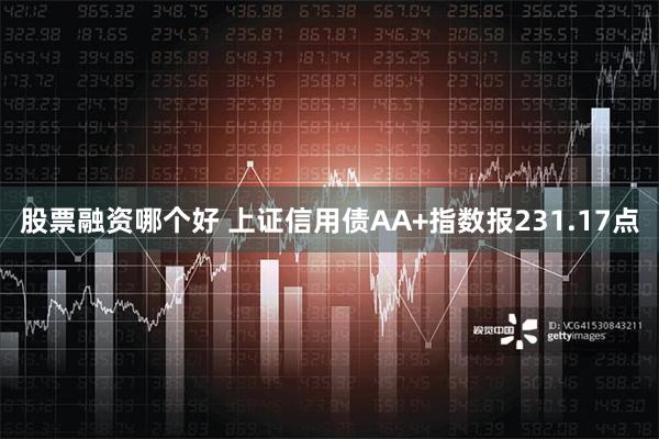 股票融资哪个好 上证信用债AA+指数报231.17点