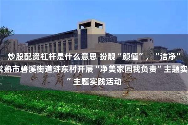 炒股配资杠杆是什么意思 扮靓“颜值”，“洁净”全力!常熟市碧溪街道浒东村开展“净美家园我负责”主题实践活动