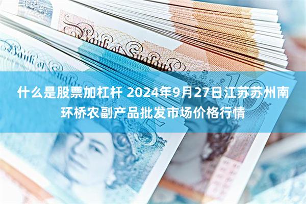 什么是股票加杠杆 2024年9月27日江苏苏州南环桥农副产品批发市场价格行情