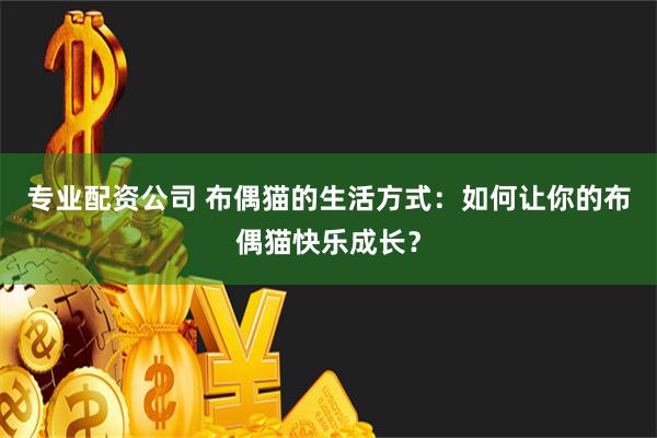 专业配资公司 布偶猫的生活方式：如何让你的布偶猫快乐成长？